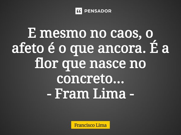 ⁠E mesmo no caos, o afeto é o que ancora. É a flor que nasce no concreto... - Fram Lima -... Frase de Francisco Lima.