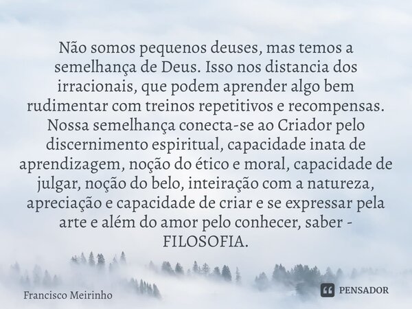 ⁠Não somos pequenos deuses, mas temos a semelhança de Deus. Isso nos distancia dos irracionais, que podem aprender algo bem rudimentar com treinos repetitivos e... Frase de Francisco Meirinho.