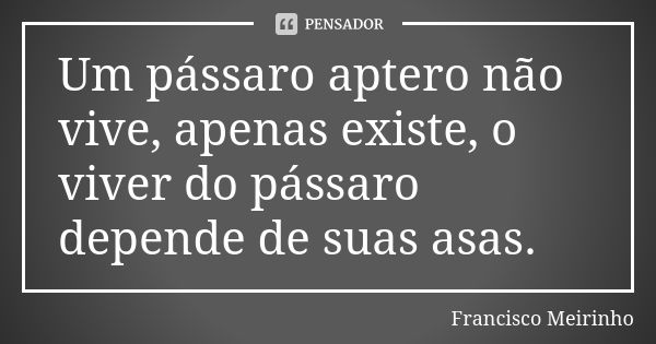 Um pássaro aptero não vive, apenas existe, o viver do pássaro depende de suas asas.... Frase de Francisco Meirinho.