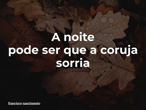 A noite pode ser que a coruja sorria⁠... Frase de francisco nascimento.