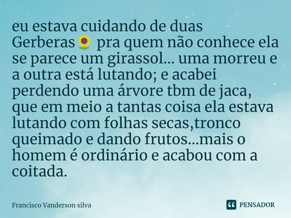 ⁠eu estava cuidando de duas Gerberas🌻 pra quem não conhece ela se parece um girassol... uma morreu e a outra está lutando; e acabei perdendo uma árvore tbm de j... Frase de Francisco Vanderson silva.