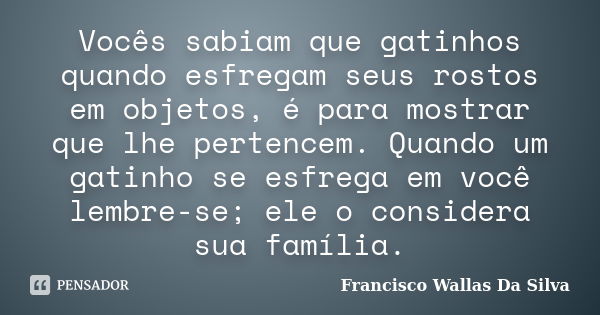 Vocês sabiam que gatinhos quando esfregam seus rostos em objetos, é para mostrar que lhe pertencem. Quando um gatinho se esfrega em você lembre-se; ele o consid... Frase de Francisco Wallas Da Silva.