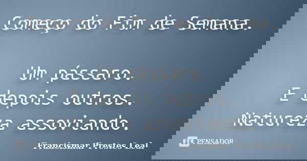 Começo do Fim de Semana. Um pássaro. E depois outros. Natureza assoviando.... Frase de Francismar Prestes Leal.