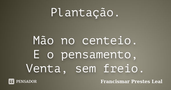 Plantação. Mão no centeio. E o pensamento, Venta, sem freio.... Frase de Francismar Prestes Leal.