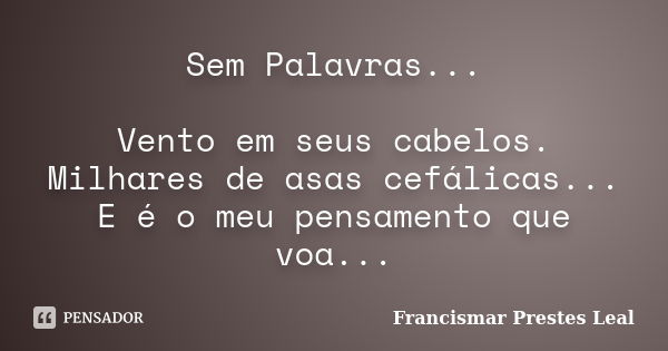 Sem Palavras... Vento em seus cabelos. Milhares de asas cefálicas... E é o meu pensamento que voa...... Frase de Francismar Prestes Leal.