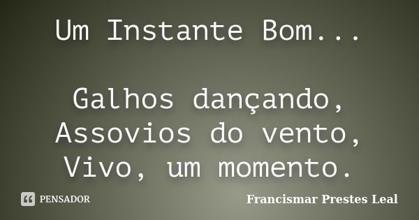 Um Instante Bom... Galhos dançando, Assovios do vento, Vivo, um momento.... Frase de Francismar Prestes Leal.