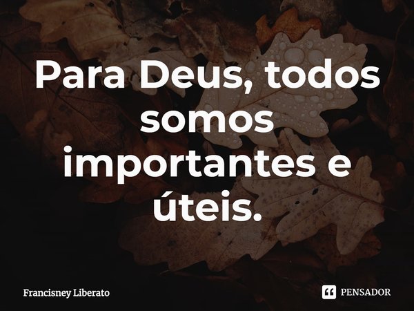 ⁠Para Deus, todos somos importantes e úteis.... Frase de Francisney Liberato.