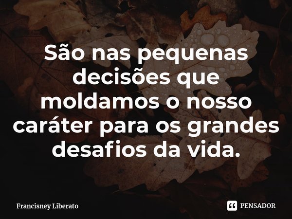 São nas pequenas decisões que moldamos o nosso caráter para os grandes desafios da vida.⁠... Frase de Francisney Liberato.