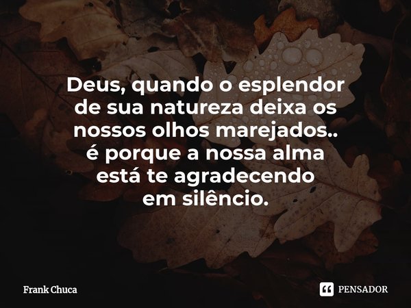 Deus, quando o esplendor
de sua natureza deixa os
nossos olhos marejados..
é porque a nossa alma
está te agradecendo
em silêncio.... Frase de Frank Chuca.