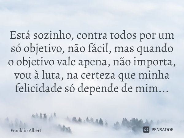 ⁠Está sozinho, contra todos por um só objetivo, não fácil, mas quando o objetivo vale apena, não importa, vou à luta, na certeza que minha felicidade só depende... Frase de Franklin Albert.