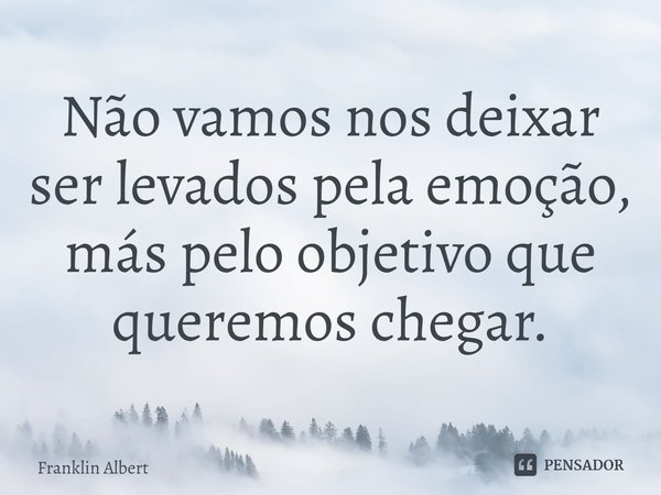 ⁠Não vamos nos deixar ser levados pela emoção, más pelo objetivo que queremos chegar.... Frase de Franklin Albert.