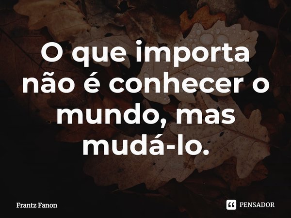 ⁠O que importa não é conhecer o mundo, mas mudá-lo.... Frase de Frantz Fanon.