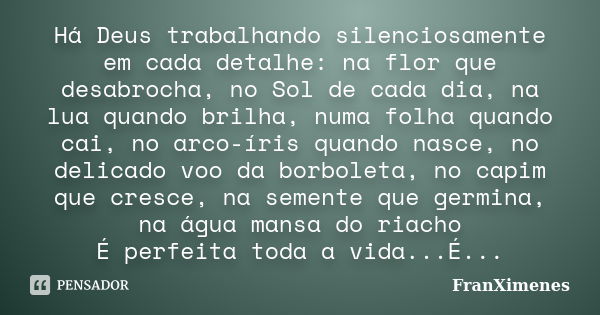 Há Deus trabalhando silenciosamente em cada detalhe: na flor que desabrocha, no Sol de cada dia, na lua quando brilha, numa folha quando cai, no arco-íris quand... Frase de FranXimenes.