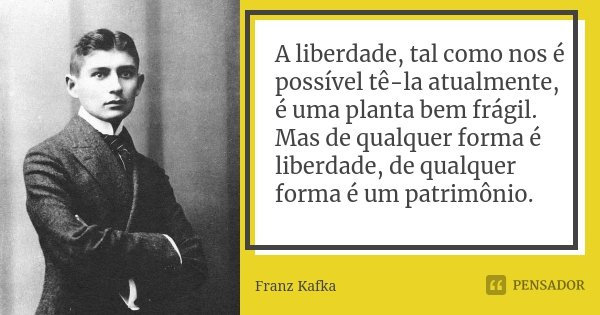A liberdade, tal como nos é possível tê-la atualmente, é uma planta bem frágil. Mas de qualquer forma é liberdade, de qualquer forma é um patrimônio.... Frase de Franz Kafka.