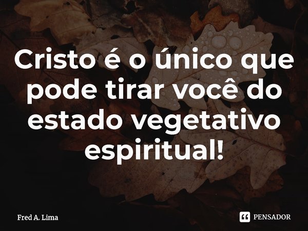 ⁠Cristo é o único que pode tirar você do estado vegetativo espiritual!... Frase de Fred A. Lima.