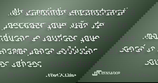 No caminho encontrará pessoas que vão te machucar e outras que será o aroma para aliviar suas dores.... Frase de Fred A Lima.