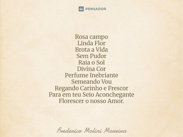 ⁠Rosa campo Linda Flor Brota a Vida Sem Pudor Raia o Sol Divina Cor Perfume Inebriante Semeando Vou Regando Carinho e Frescor Para em teu Seio Aconchegante Flor... Frase de Frederico Molini Moreira.