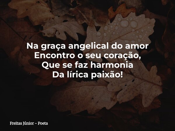 Na graça angelical do amor Encontro o seu coração, Que se faz harmonia Da lírica paixão!... Frase de Freitas Júnior - Poeta.