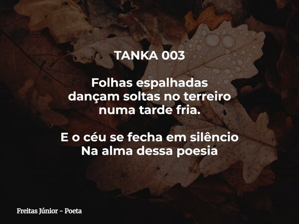 TANKA 003 Folhas espalhadas dançam soltas no terreiro numa tarde fria. E o céu se fecha em silêncio Na alma dessa poesia... Frase de Freitas Júnior - Poeta.