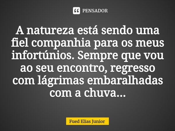 ⁠A natureza está sendo uma fiel companhia para os meus infortúnios. Sempre que vou ao seu encontro, regresso com lágrimas embaralhadas com a chuva...... Frase de Fued Elias Júnior.