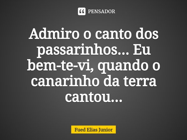 ⁠Admiro o canto dos passarinhos... Eu bem-te-vi, quando o canarinho da terra cantou...... Frase de Fued Elias Júnior.