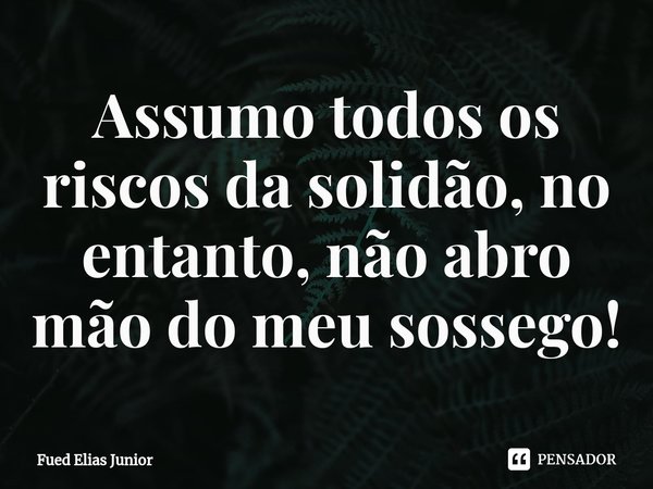 ⁠Assumo todos os riscos da solidão, no entanto, não abro mão do meu sossego!... Frase de Fued Elias Júnior.