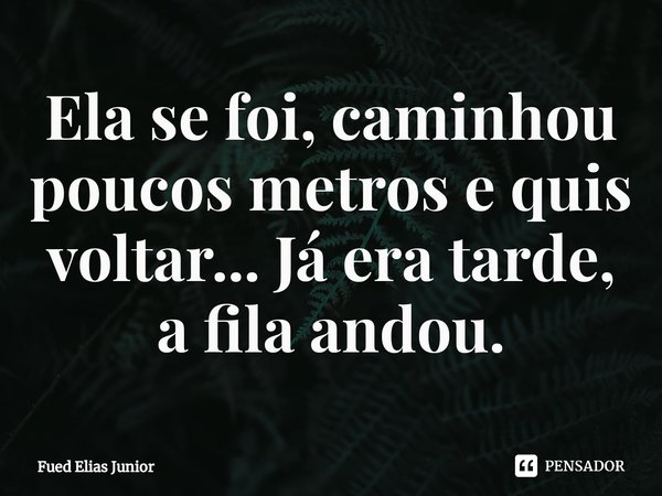 ⁠Ela se foi, caminhou poucos metros e quis
voltar... Já era tarde, a fila andou.... Frase de Fued Elias Júnior.