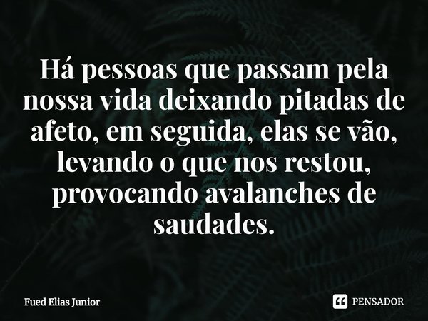 ⁠Há pessoas que passam pela nossa vida deixando pitadas de afeto, em seguida, elas se vão, levando o que nos restou, provocando avalanches de saudades.... Frase de Fued Elias Júnior.