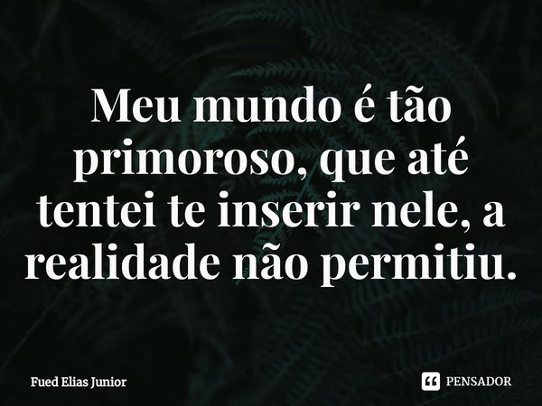 ⁠Meu mundo é tão primoroso, que até tentei te inserir nele, a realidade não permitiu.... Frase de Fued Elias Júnior.