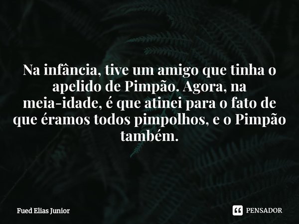 ⁠Na infância, tive um amigo que tinha o apelido de Pimpão. Agora, na meia-idade, é que atinei para o fato de que éramos todos pimpolhos, e o Pimpão também.... Frase de Fued Elias Júnior.