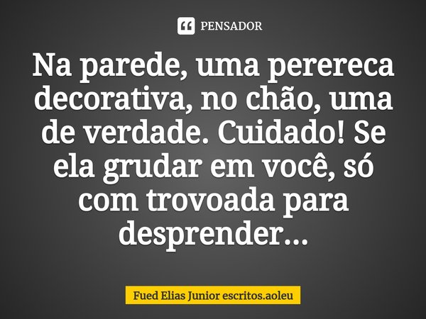 ⁠Na parede, uma perereca decorativa, no chão, uma de verdade. Cuidado! Se ela grudar em você, só com trovoada para desprender...... Frase de Fued Elias Junior escritos.aoleu.