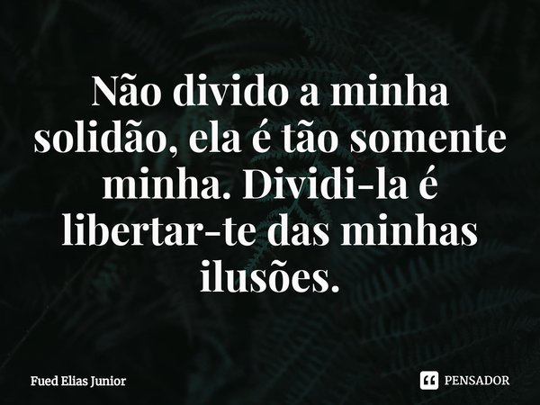 ⁠Não divido a minha solidão, ela é tão somente minha. Dividi-la é libertar-te das minhas ilusões.... Frase de Fued Elias Júnior.