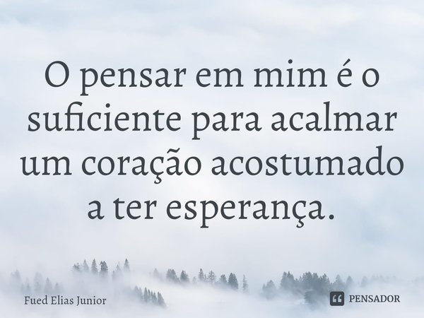 ⁠O pensar em mim é o suficiente para acalmar um coração acostumado a ter esperança.... Frase de Fued Elias Júnior.