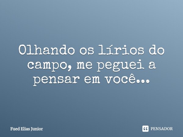 ⁠Olhando os lírios do campo, me peguei a pensar em você...... Frase de Fued Elias Júnior.