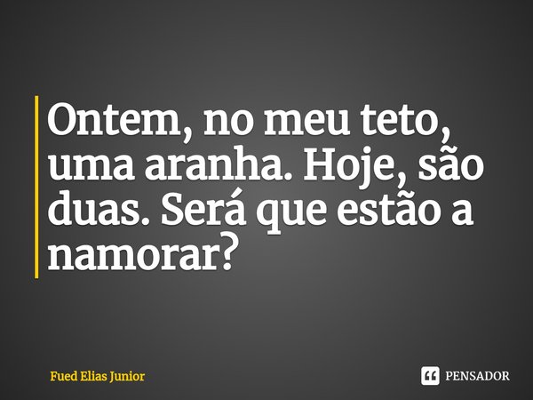 ⁠Ontem, no meu teto, uma aranha. Hoje, são duas. Será que estão a namorar?... Frase de Fued Elias Júnior.