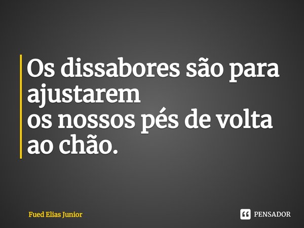 ⁠Os dissabores são para ajustarem
os nossos pés de volta ao chão.... Frase de Fued Elias Júnior.