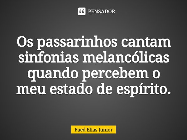 ⁠Os passarinhos cantam sinfonias melancólicas quando percebem o
meu estado de espírito.... Frase de Fued Elias Júnior.