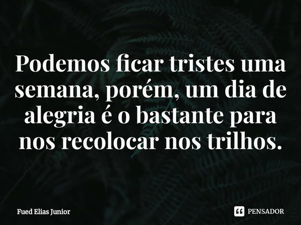 ⁠Podemos ficar tristes uma semana, porém, um dia de alegria é o bastante para nos recolocar nos trilhos.... Frase de Fued Elias Júnior.