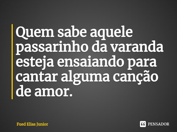 ⁠Quem sabe aquele passarinho da varanda esteja ensaiando para cantar alguma canção de amor.... Frase de Fued Elias Júnior.