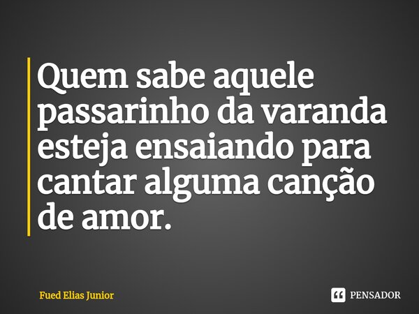 ⁠Quem sabe aquele passarinho da varanda esteja ensaiando para cantar alguma canção de amor.... Frase de Fued Elias Júnior.