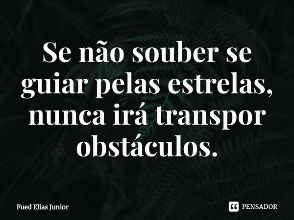 ⁠Se não souber se guiar pelas estrelas,
nunca irá transpor obstáculos.... Frase de Fued Elias Júnior.