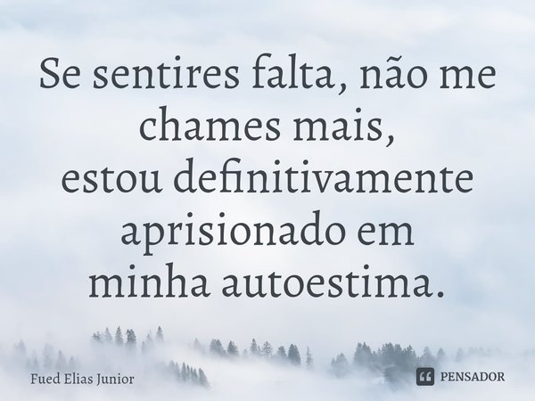 ⁠Se sentires falta, não me chames mais,
estou definitivamente aprisionado em
minha autoestima.... Frase de Fued Elias Júnior.