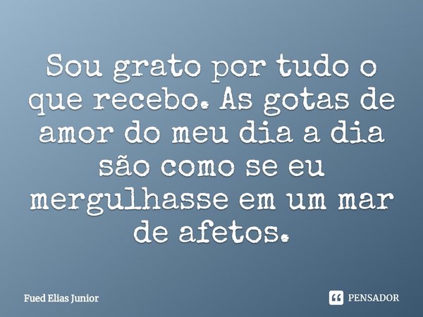 Sou grato por tudo o que recebo. As gotas de amor do meu dia a dia são como se eu mergulhasse em um mar de afetos.⁠... Frase de Fued Elias Júnior.