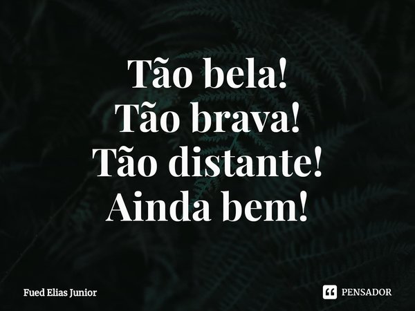 ⁠Tão bela!
Tão brava!
Tão distante!
Ainda bem!... Frase de Fued Elias Júnior.