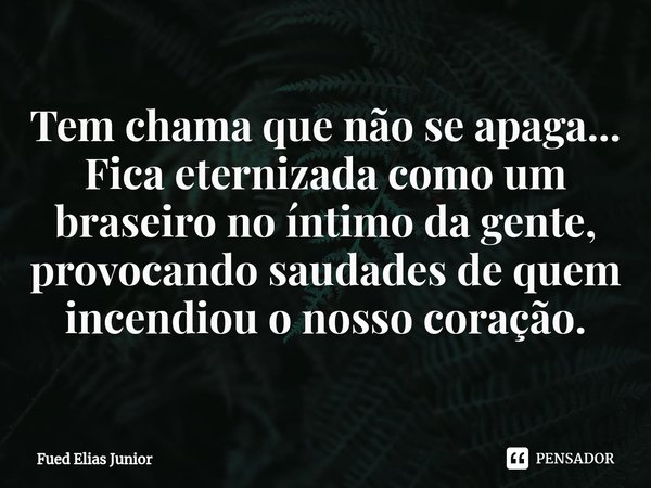 Tem chama que não se apaga... Fica eternizada como um braseiro no íntimo da gente, provocando saudades de quem incendiou o nosso coração.⁠... Frase de Fued Elias Júnior.