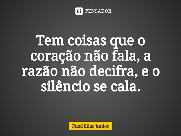⁠Tem coisas que o coração não fala, a razão não decifra, e o silêncio se cala.... Frase de Fued Elias Júnior.