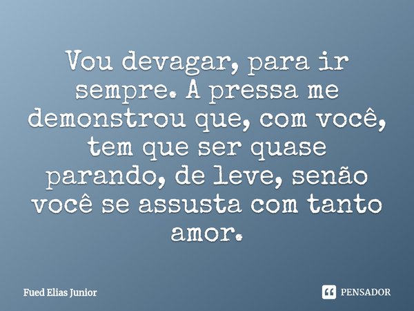 ⁠Vou devagar, para ir sempre. A pressa me demonstrou que, com você, tem que ser quase parando, de leve, senão você se assusta com tanto amor.... Frase de Fued Elias Júnior.