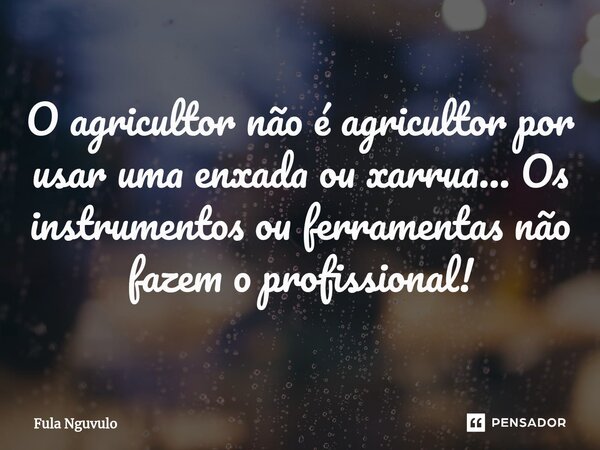 ⁠O agricultor não é agricultor por usar uma enxada ou xarrua... Os instrumentos ou ferramentas não fazem o profissional!... Frase de Fula Nguvulo.