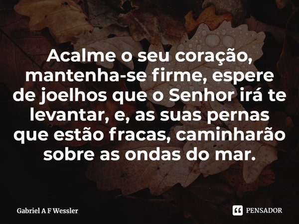⁠Acalme o seu coração, mantenha-se firme, espere de joelhos que o Senhor irá te levantar, e, as suas pernas que estão fracas, caminharão sobre as ondas do mar.... Frase de Gabriel A F Wessler.