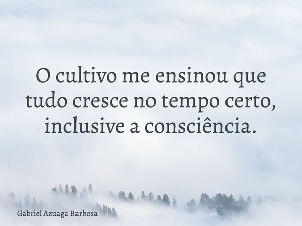 O cultivo me ensinou que tudo cresce no tempo certo, inclusive a consciência.... Frase de Gabriel Azuaga Barbosa.